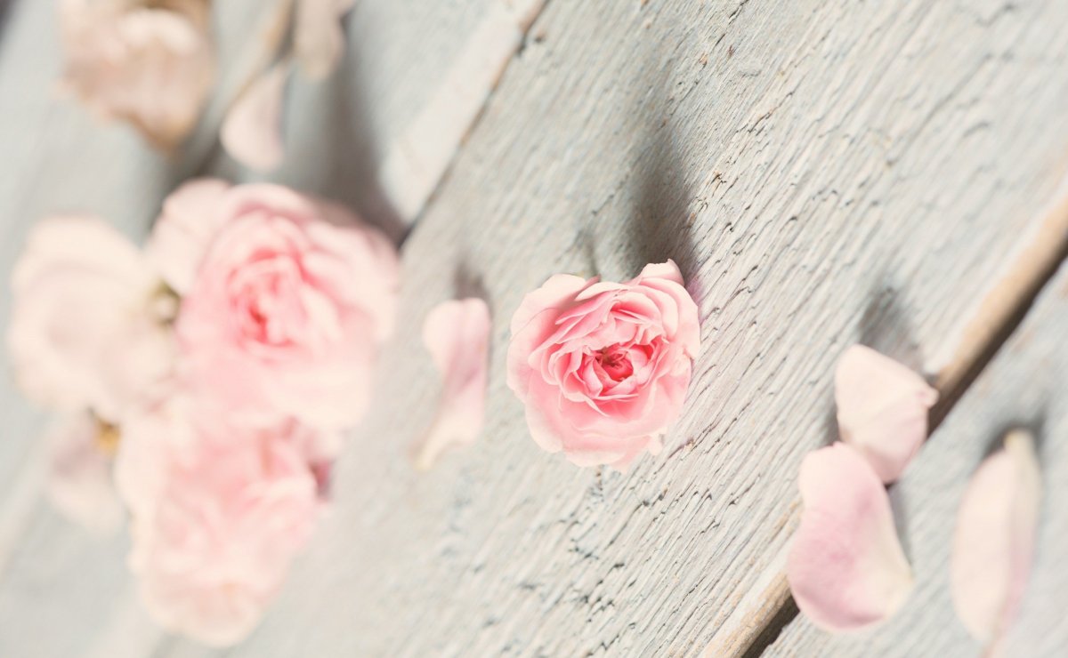 Яркие обложки для актуального