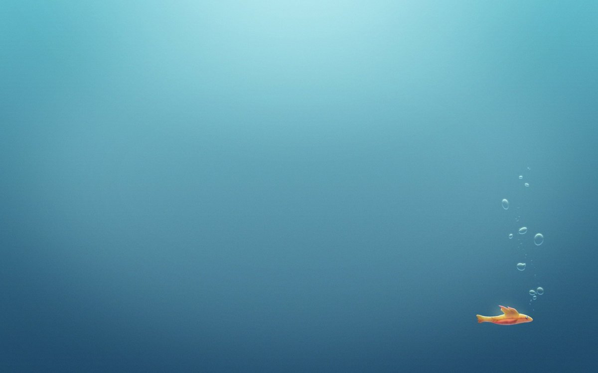 Морской фон для презентации