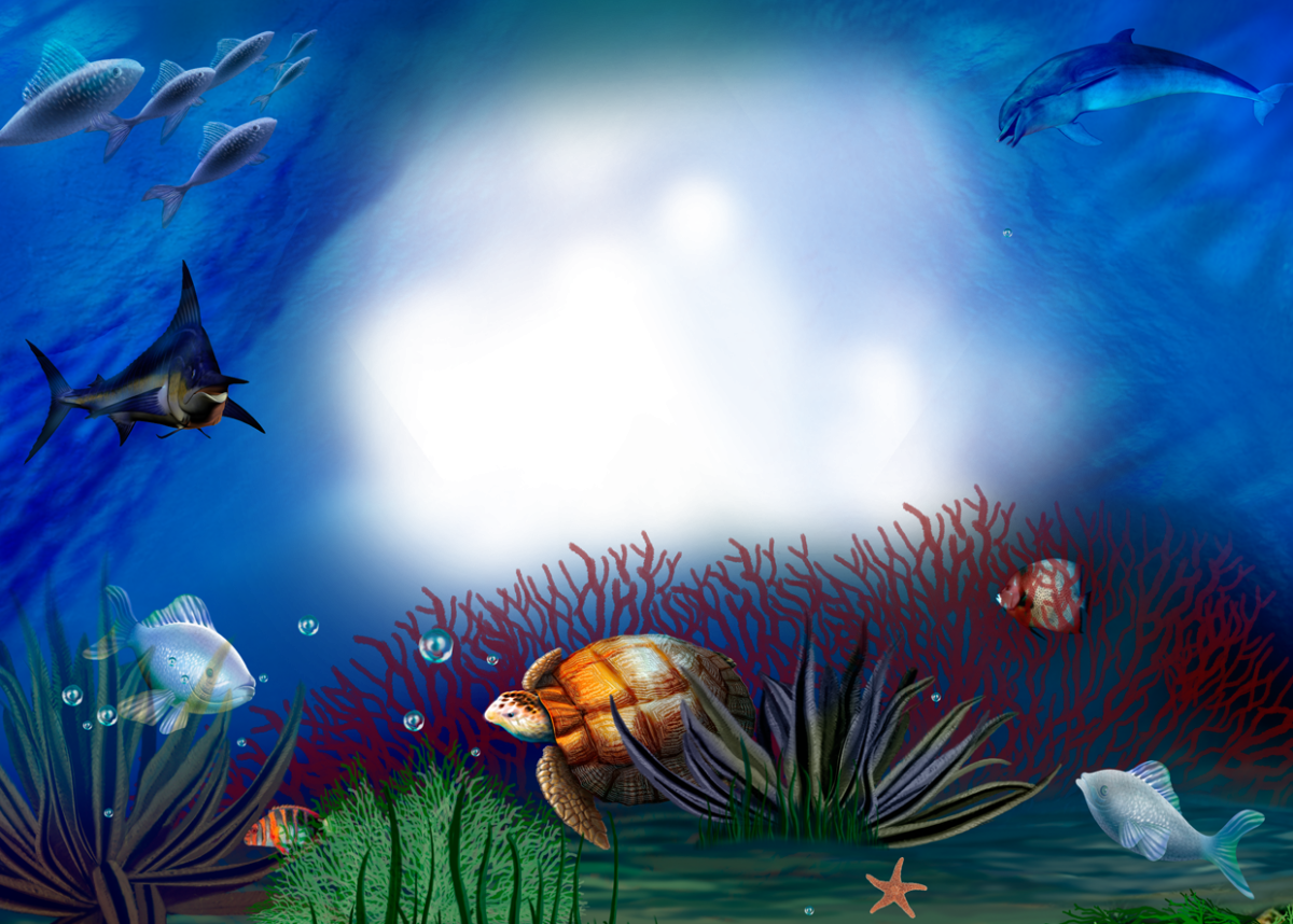 Фоторамка Морское дно