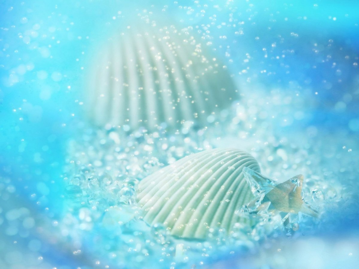 Морской фон