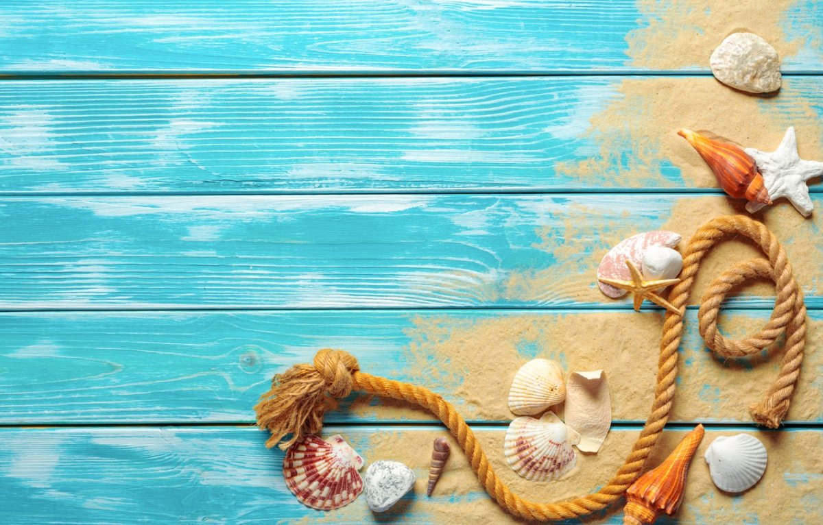 Ракушки на деревянном фоне