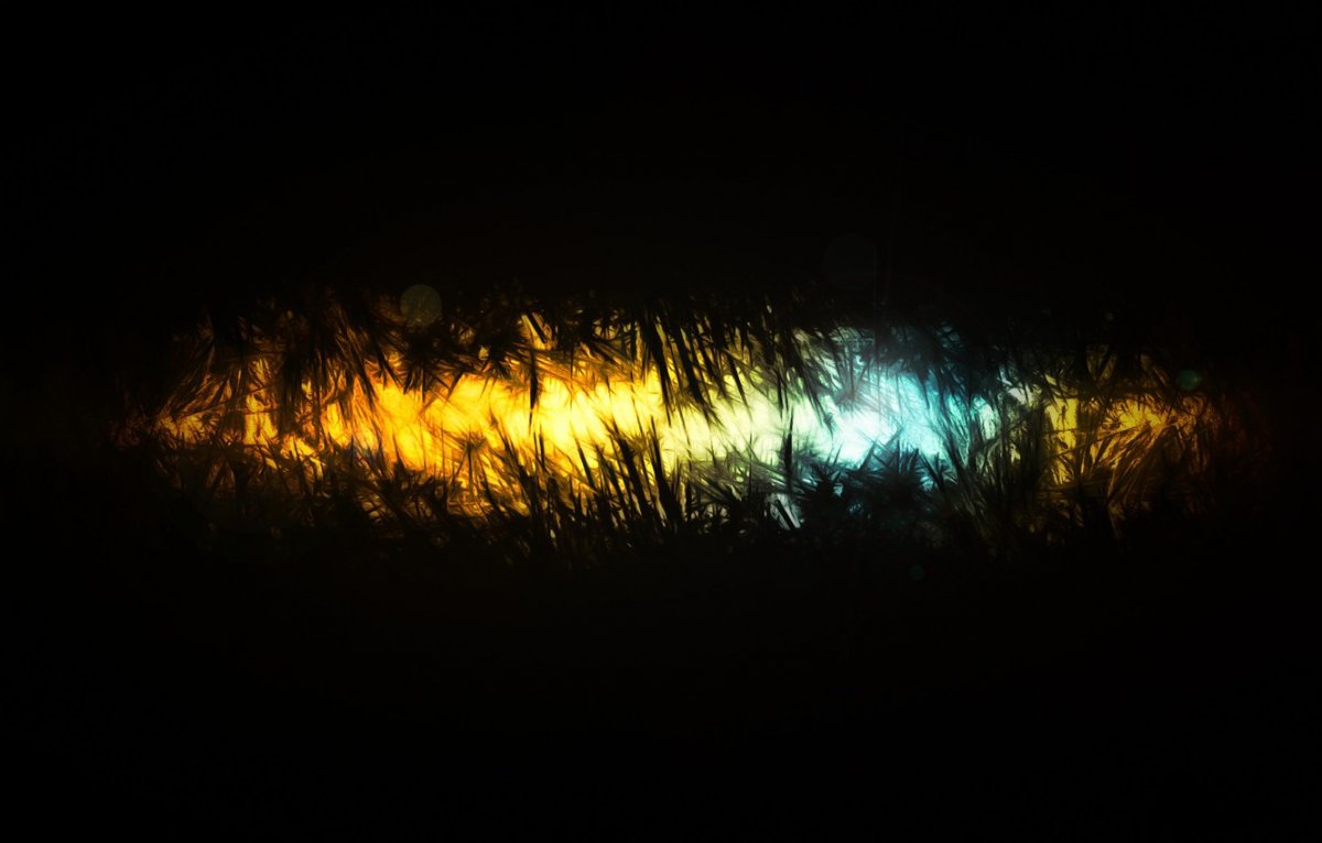 Темный свет