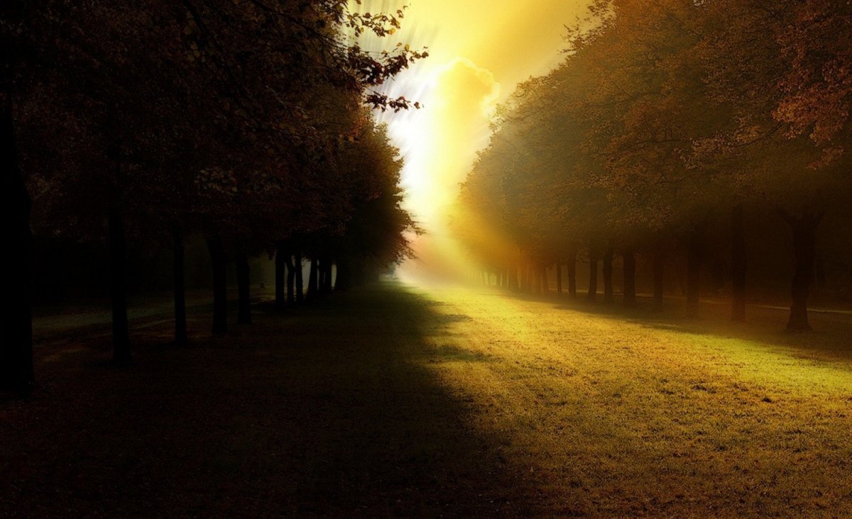 Свет и тьма природа