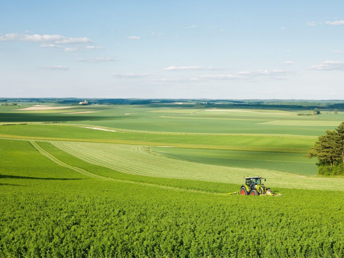 Умное поле в сельском хозяйстве