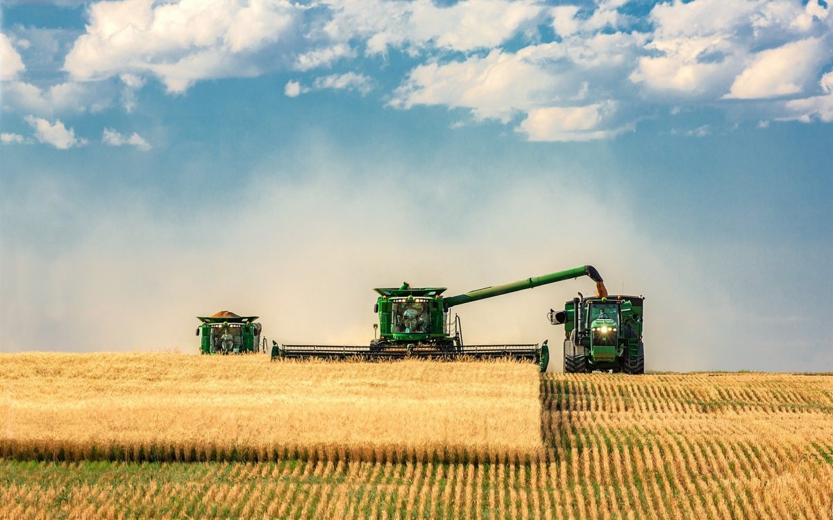 Аграрный сектор Польша