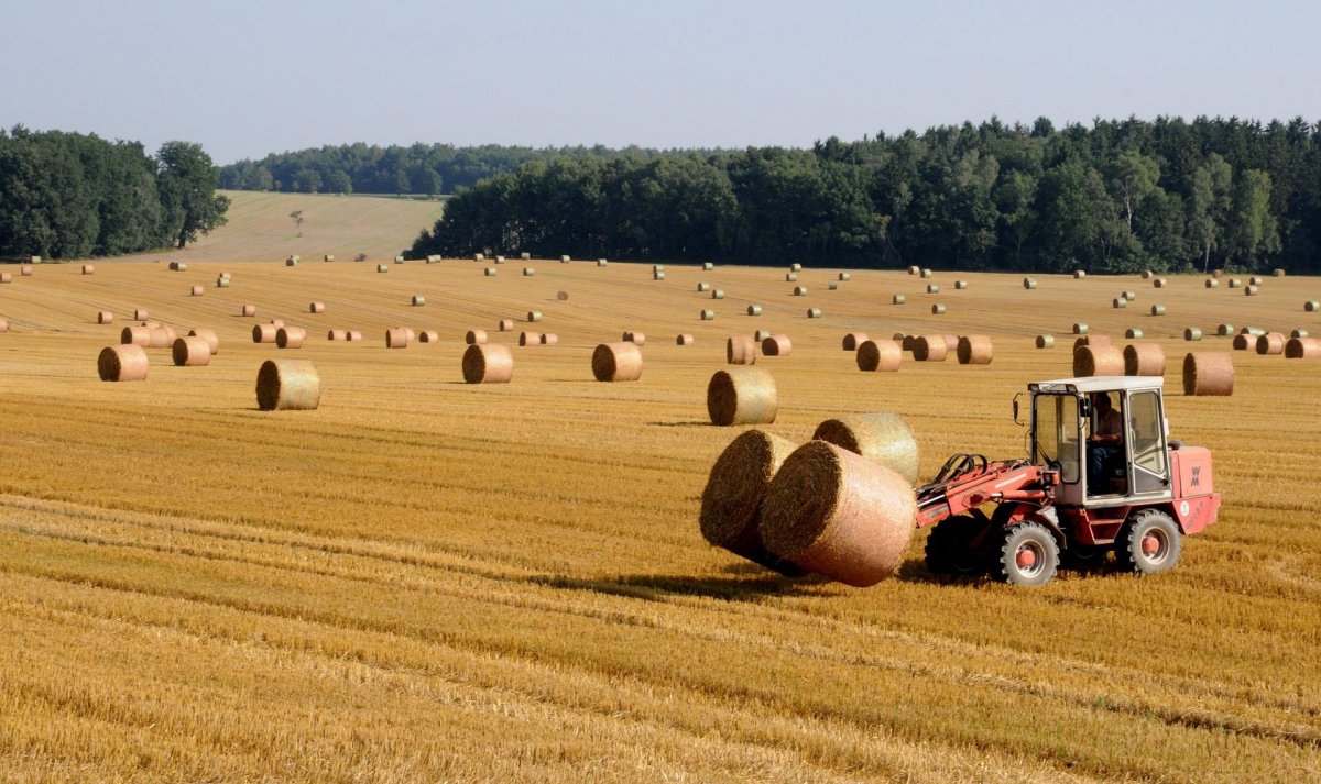 Российские поля сельхозные