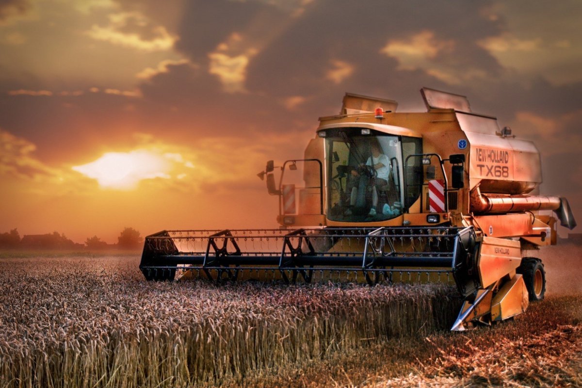 Уборка урожая комбайнами