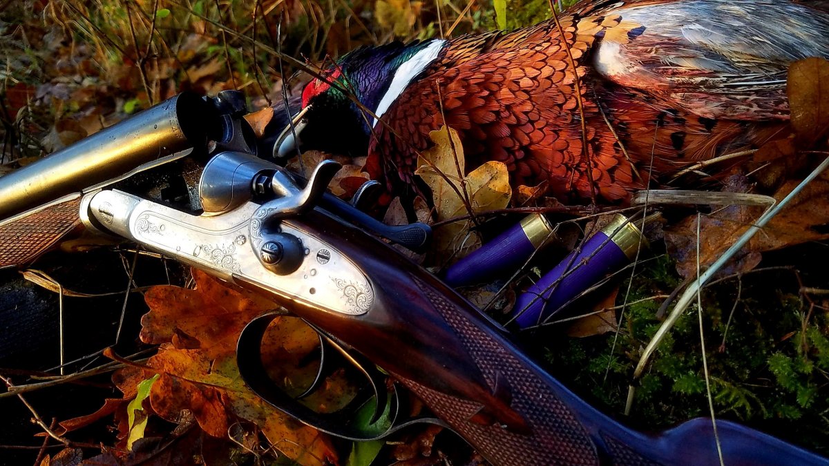 Двустволка охотничья Утиная