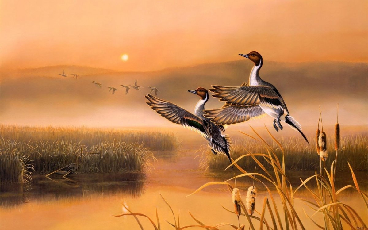 Утки над озером живопись