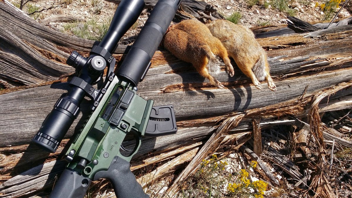 Охота картинки