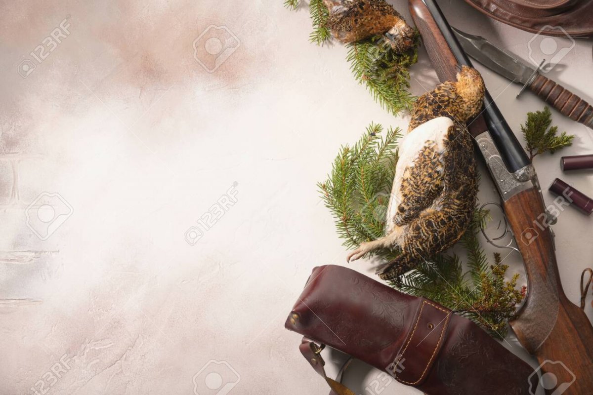 Фон для охотника для фотошопа