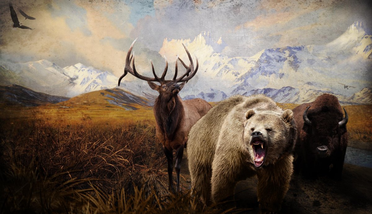 Заставка на рабочий стол охота