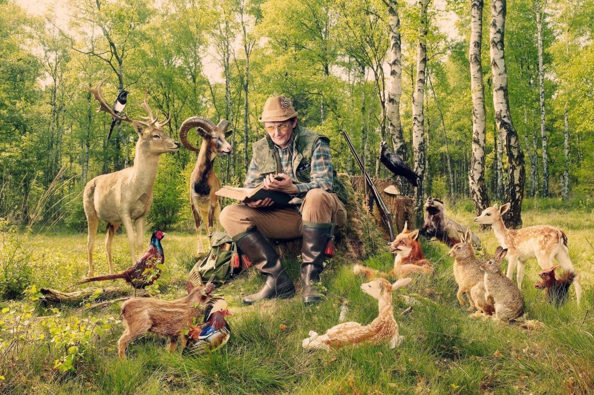 Охотничьи животные