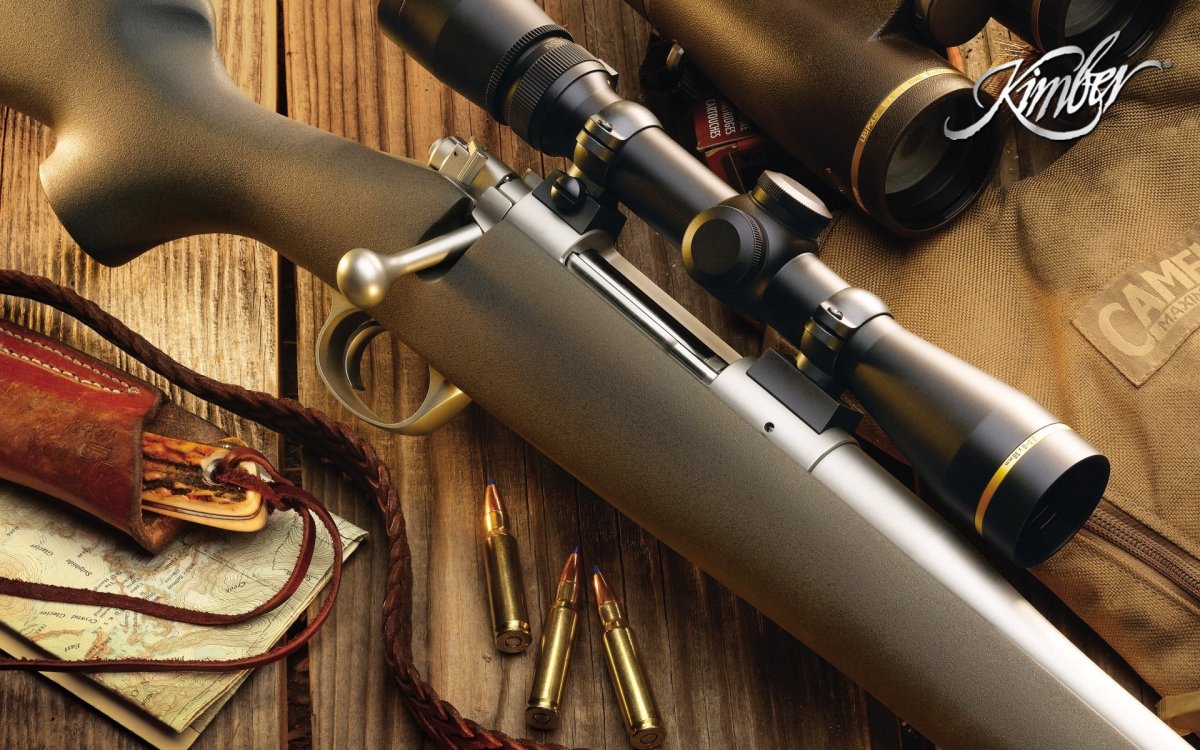 Патроны для ружья