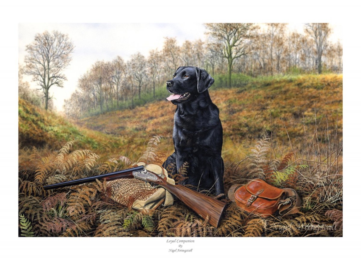 Собака охотничья