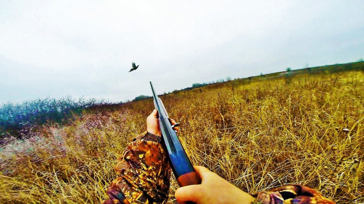 Фон для охотника