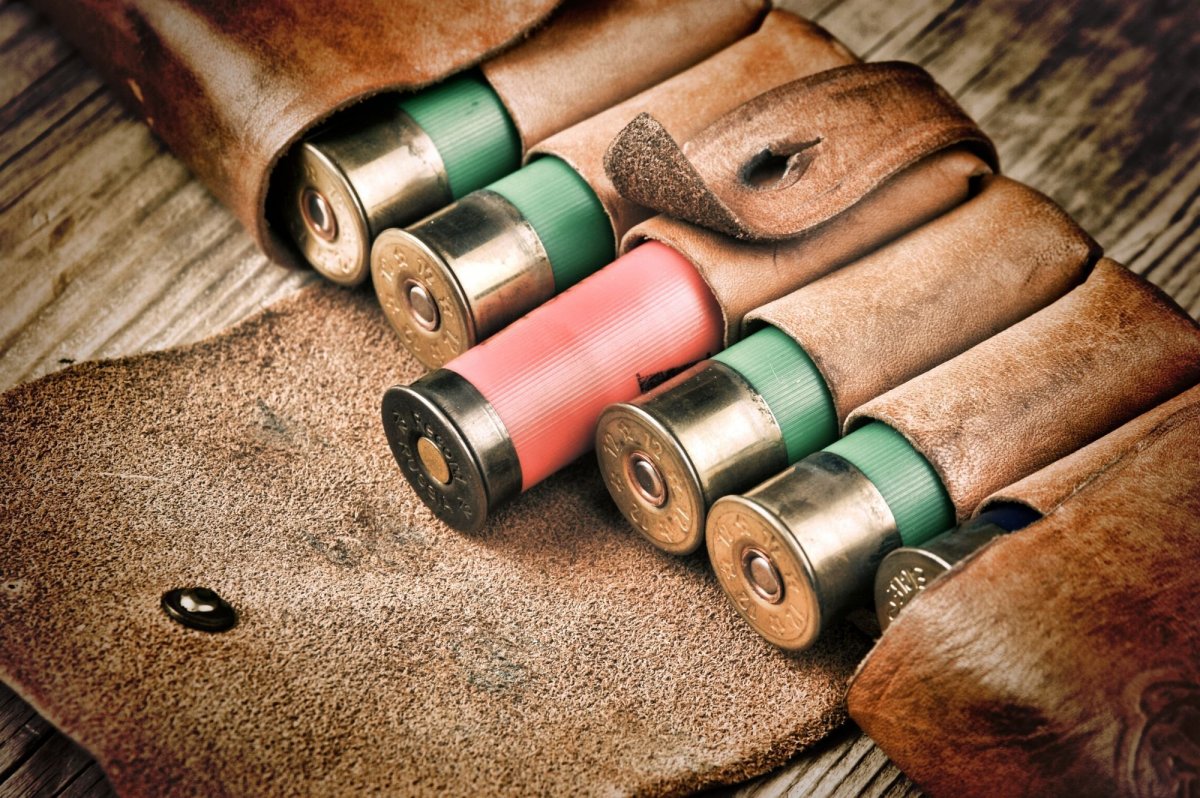 Охотничьи патроны