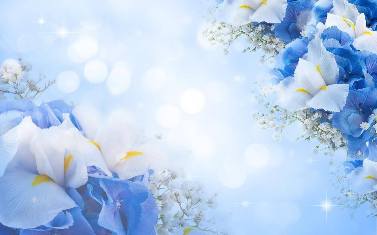 Красивый голубой цвет