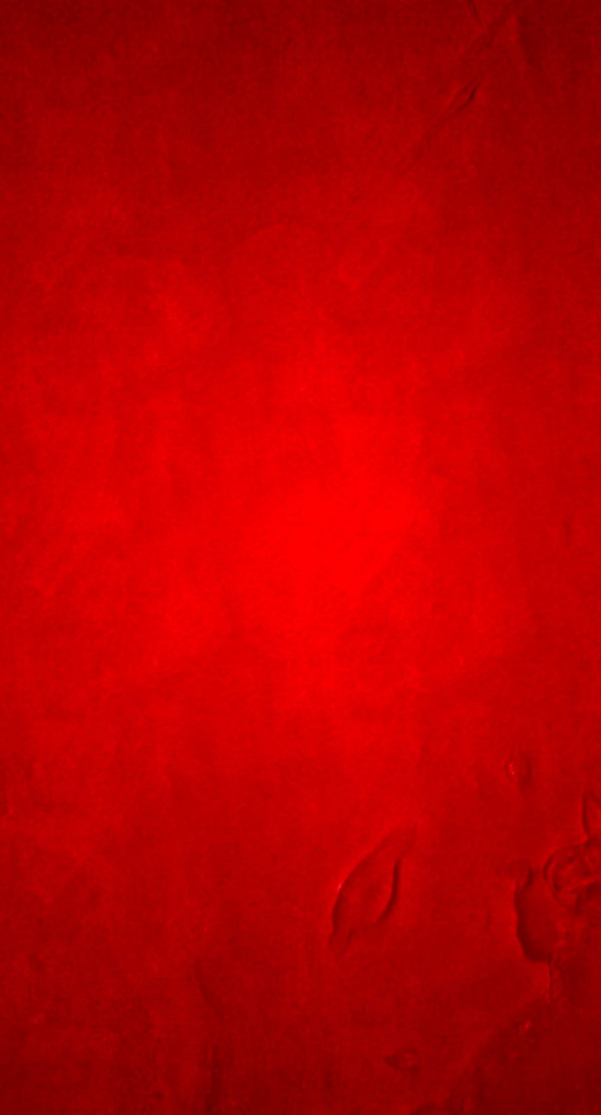 Apple красный фон