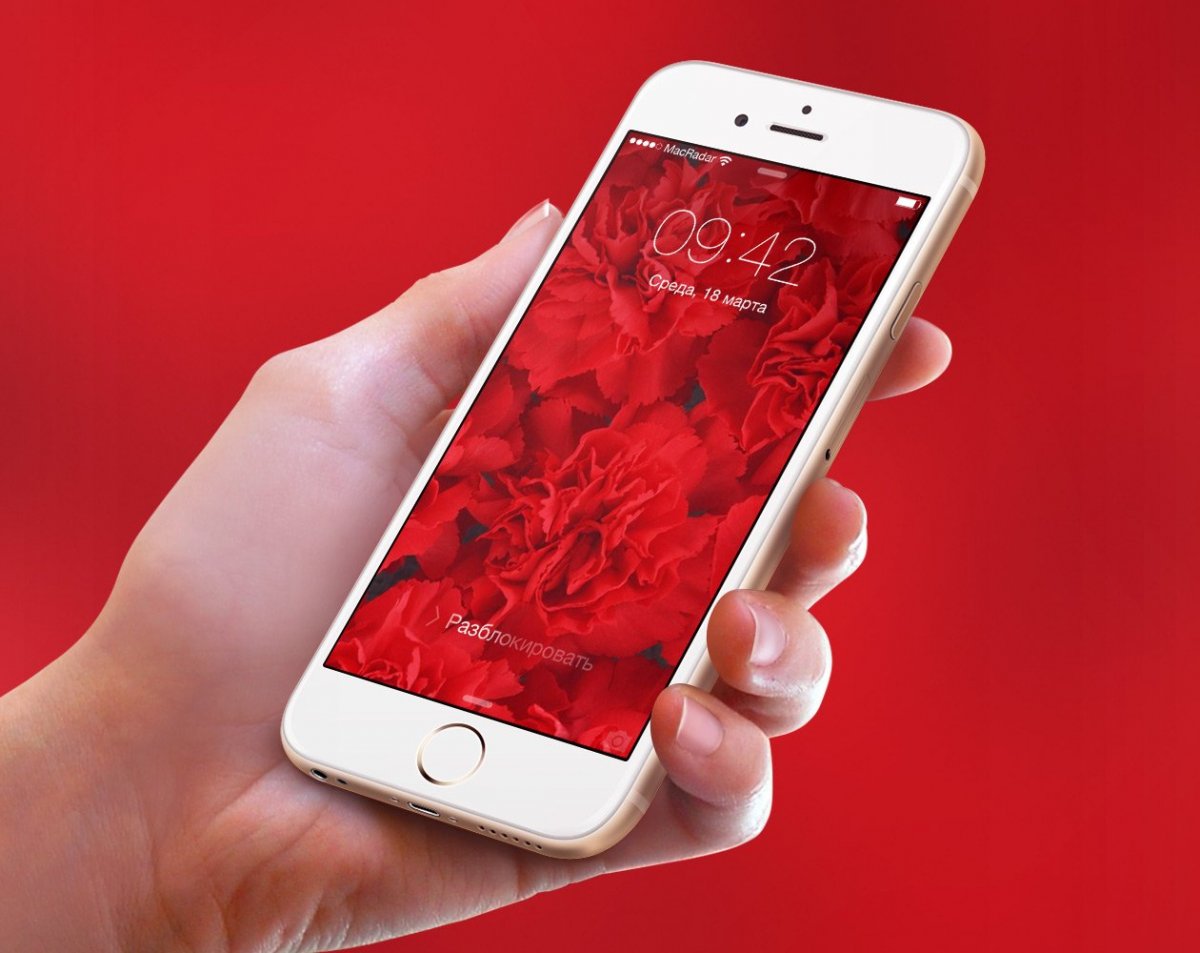 Цветы малинового цвета