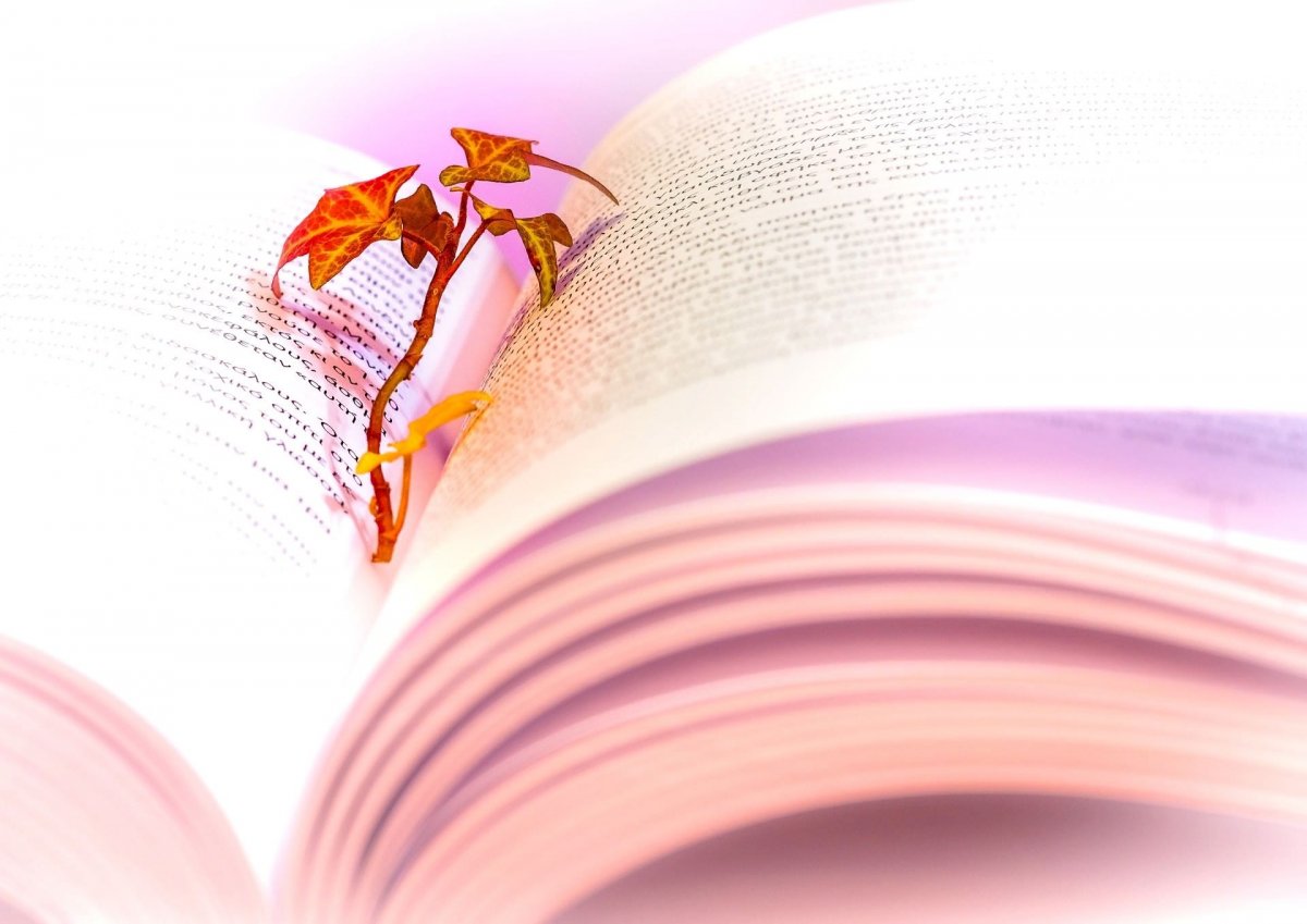 Современная поэзия фон