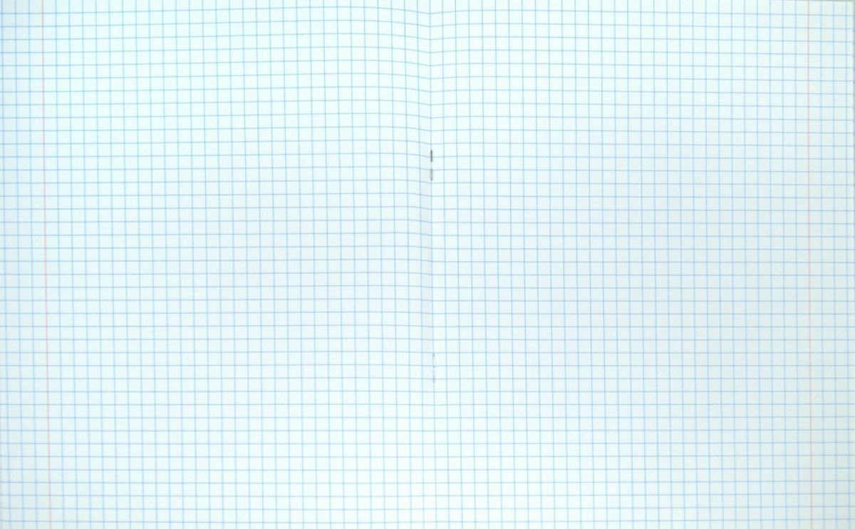 Скан тетрадного листа в клетку