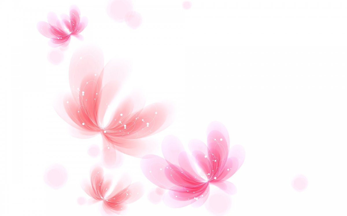 Розовые цветы на белом фоне