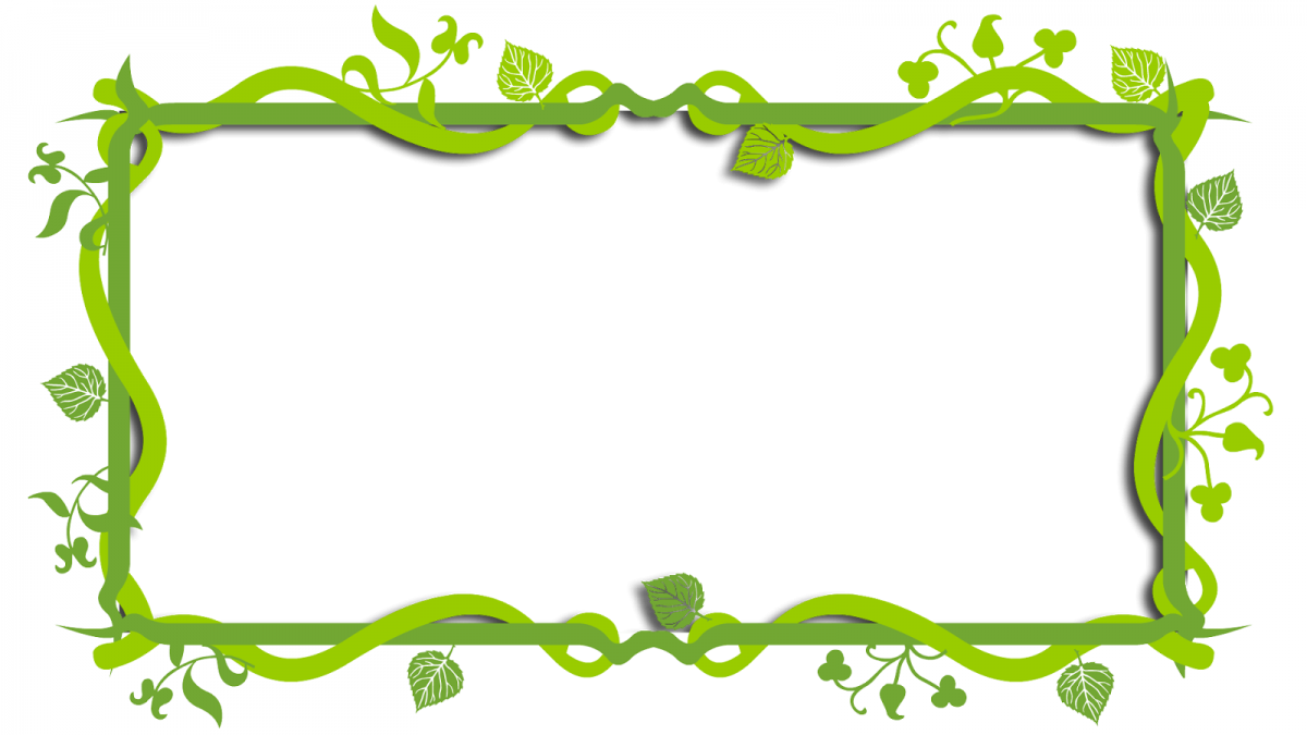 Салатовая рамка