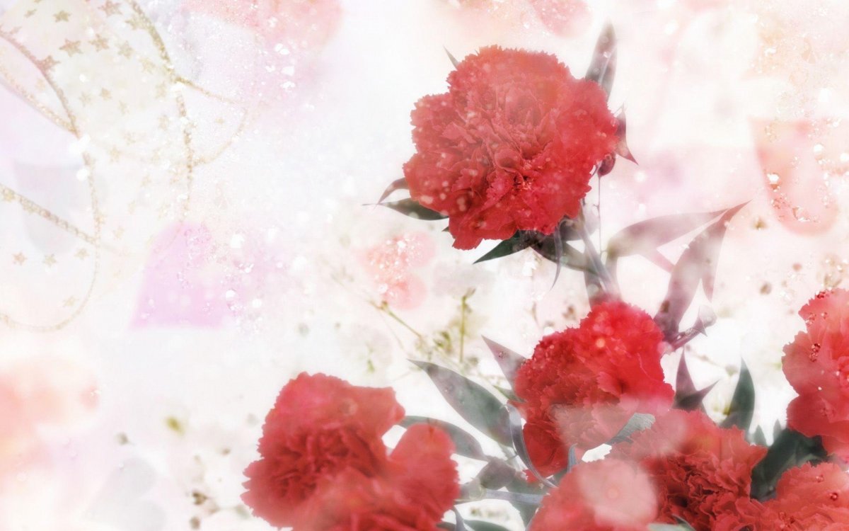 Фон с гвоздиками