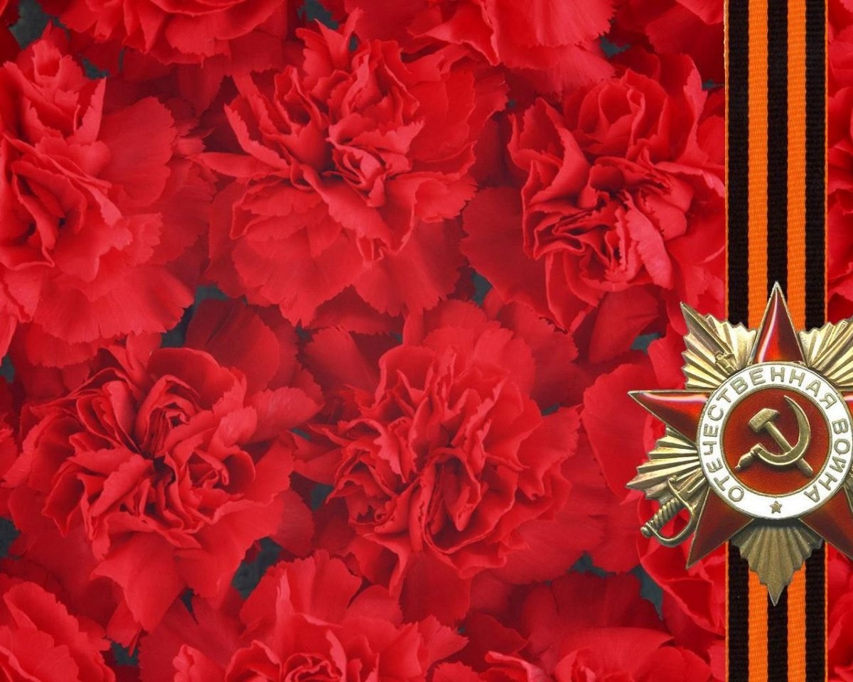 Букет гвоздик с георгиевской лентой