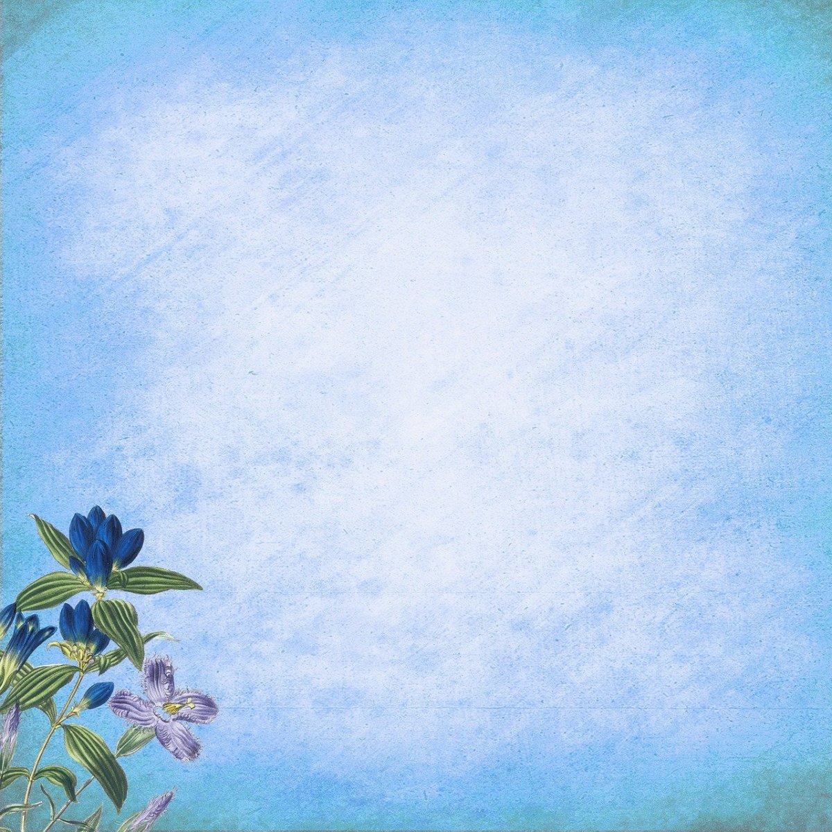 Линованный лист а4