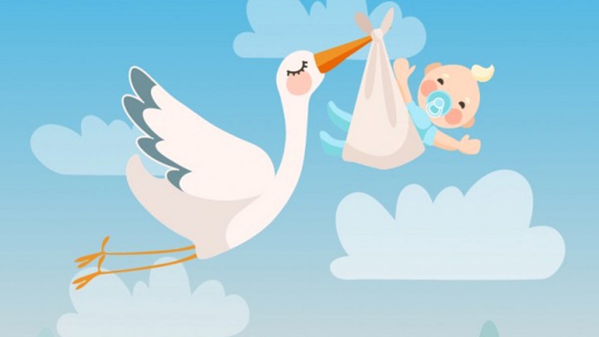 Аист с ребеночком