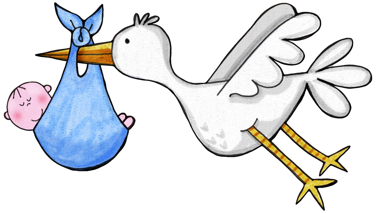 Аист с малышом на прозрачном фоне