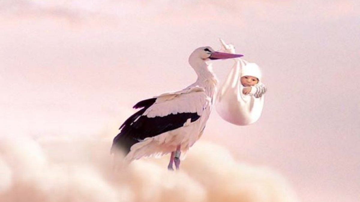 Аист несет девочку