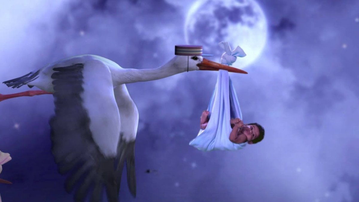 Аист приносит ребенка