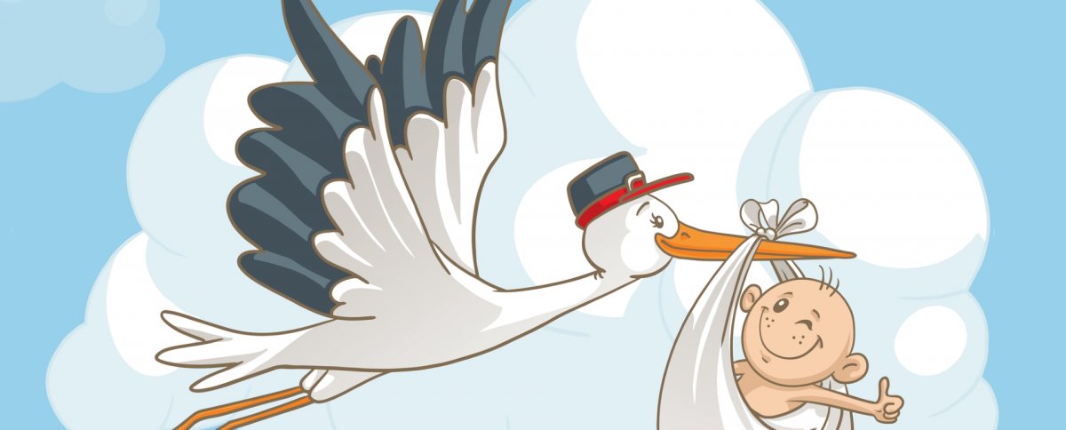 Фон для презентации с аистами