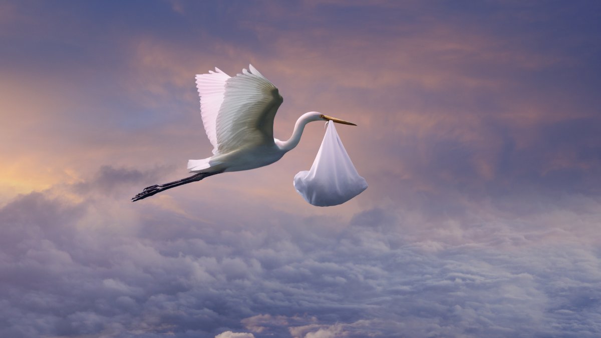 Аист несёт младенца