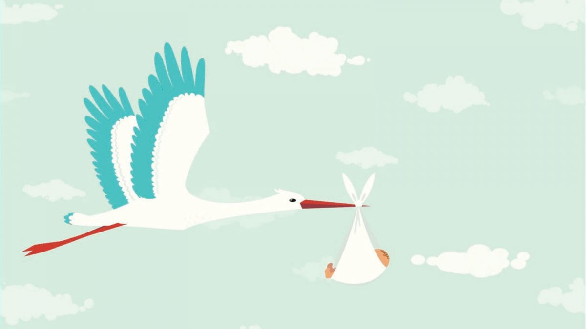 Фон с аистом