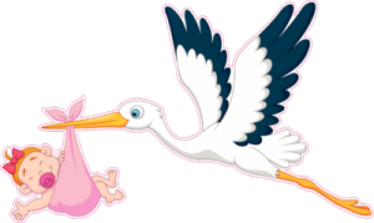 Рождение ребенка Аист