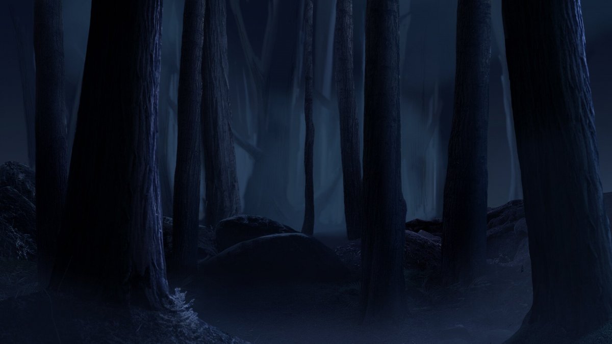 Ночной лес арт