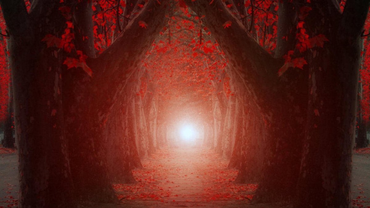 Аниме кладбище