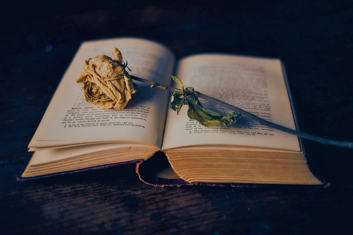 Красиво раскрытые книги