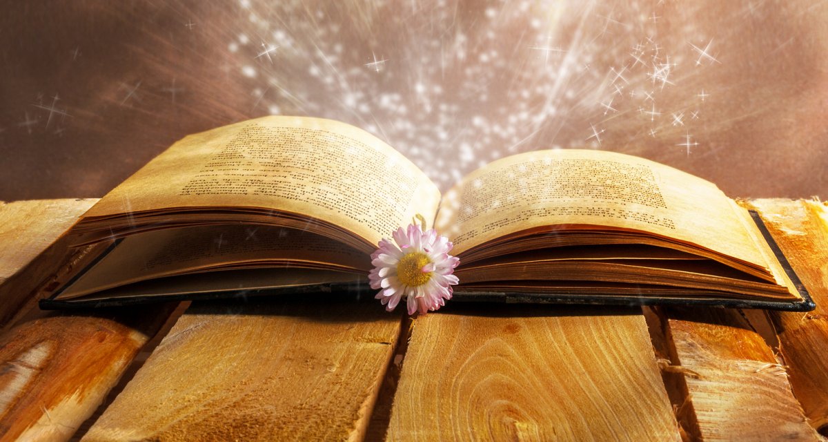 Раскрытая Волшебная книга