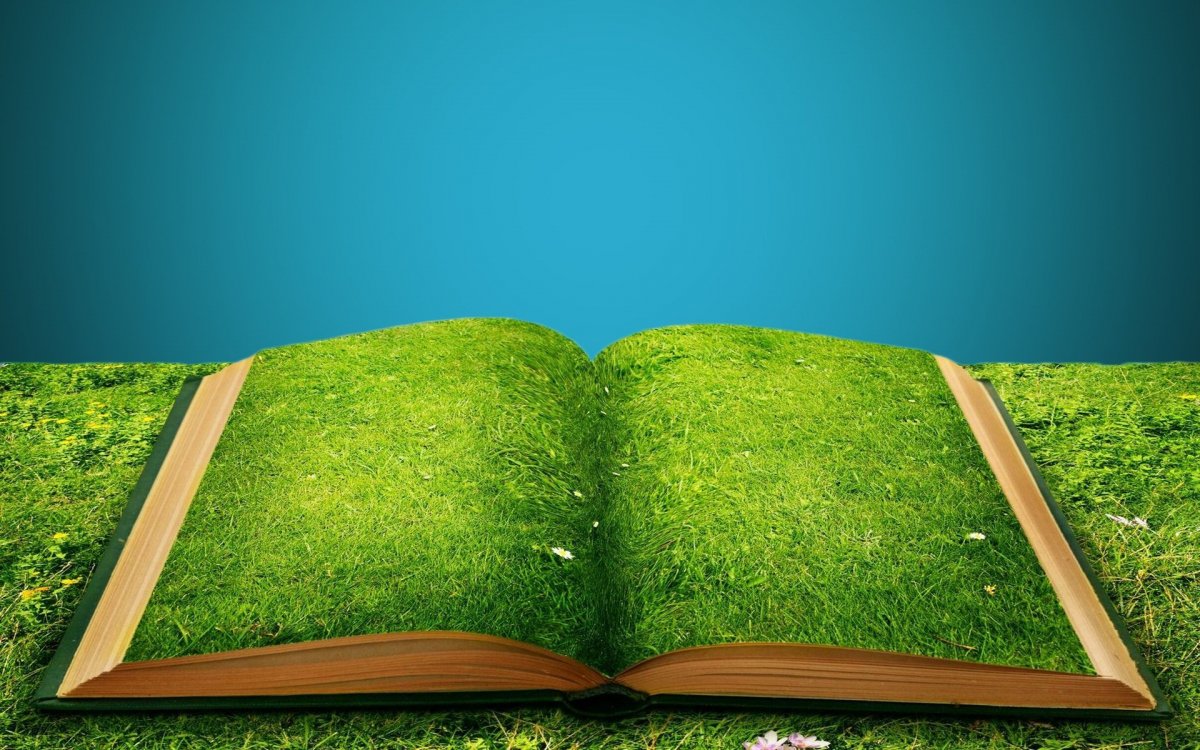 Раскрытая книга