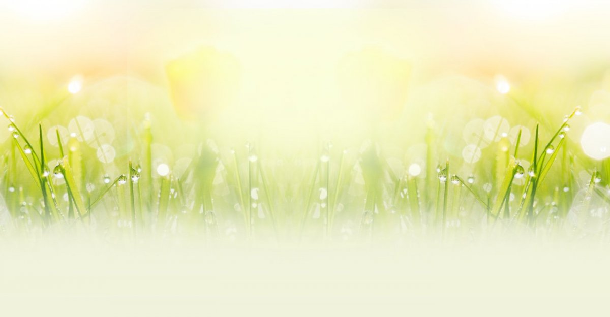 Фон здоровье