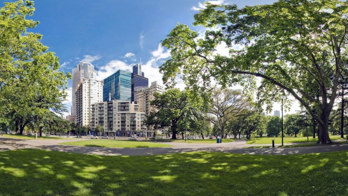 Лето в городе