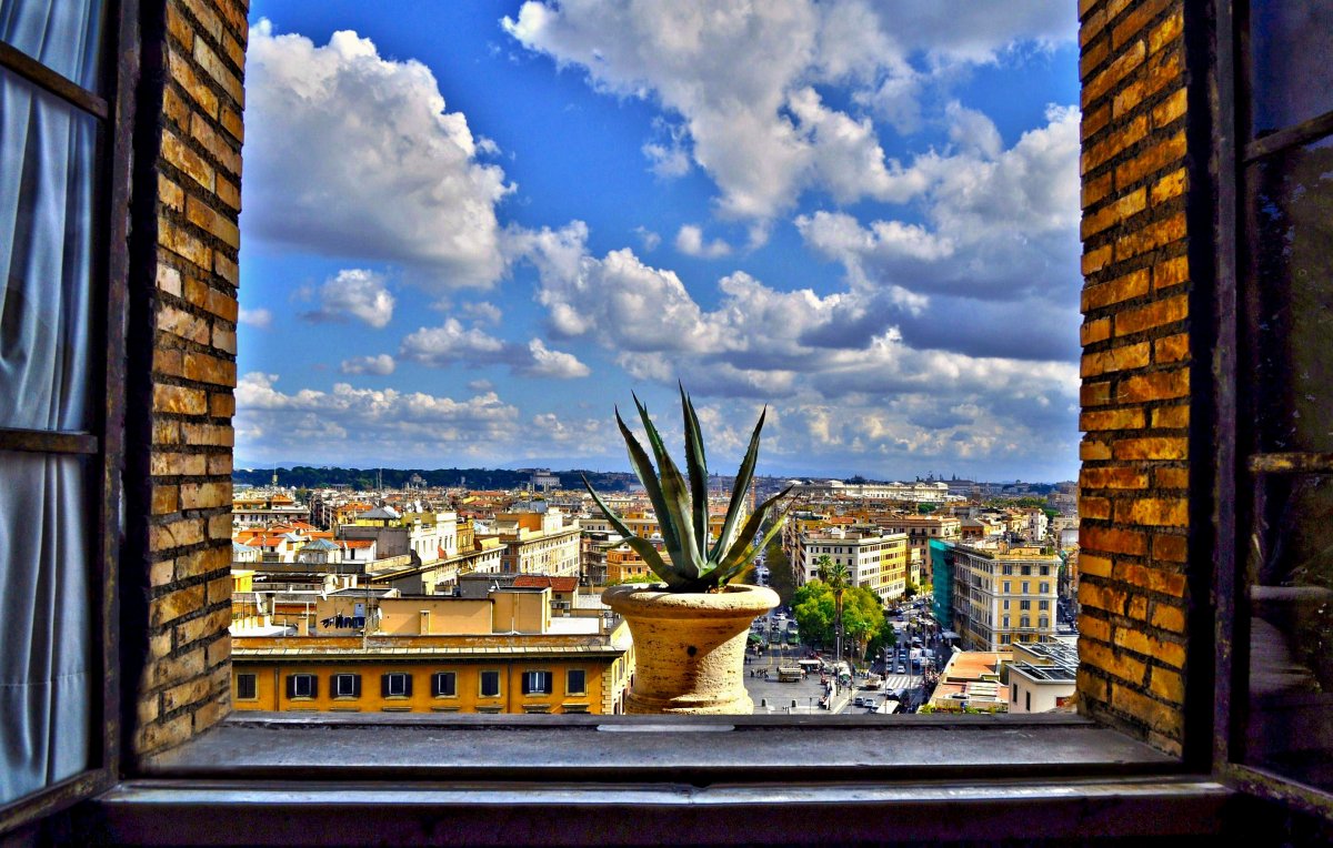 Вид из окна