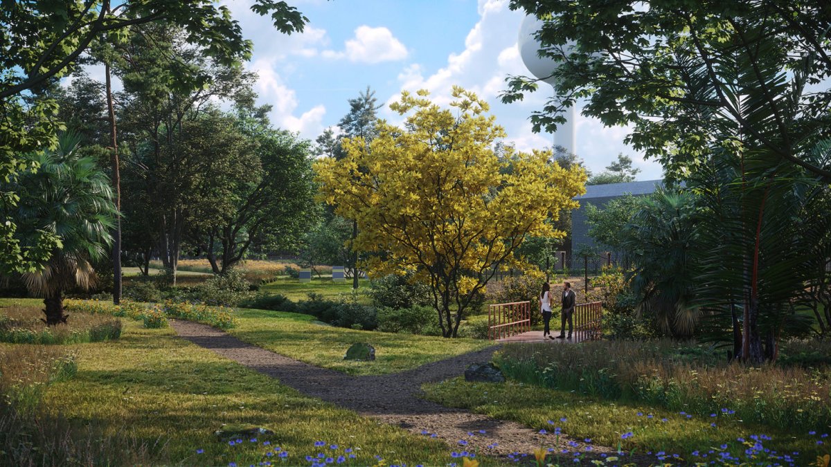 Вид на парк для рендера