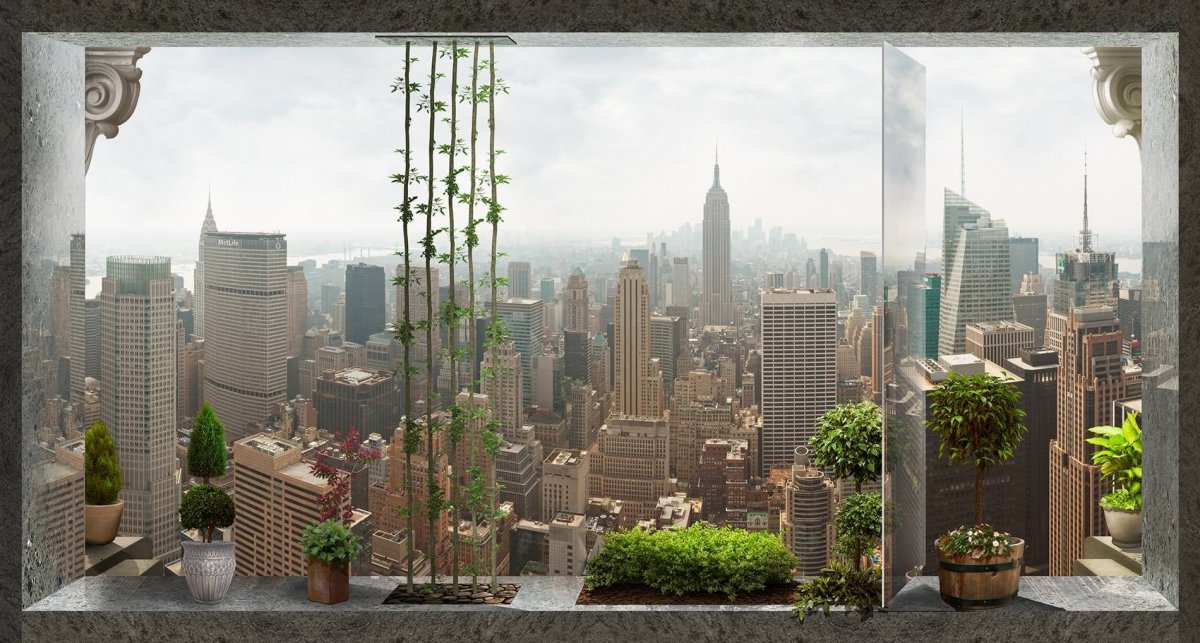 Вид из окна на город