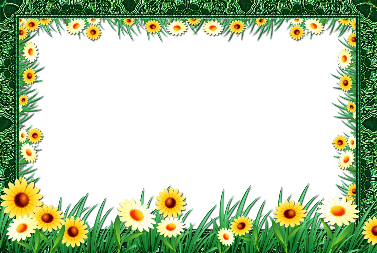 Летняя рамка для текста